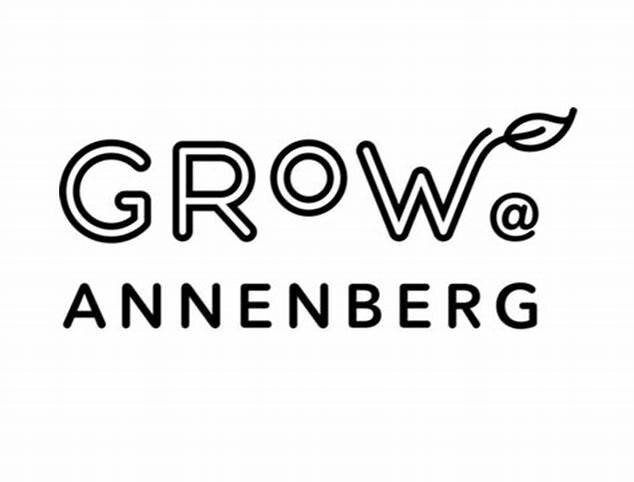 The Annenberg Visiting Fellowship Award