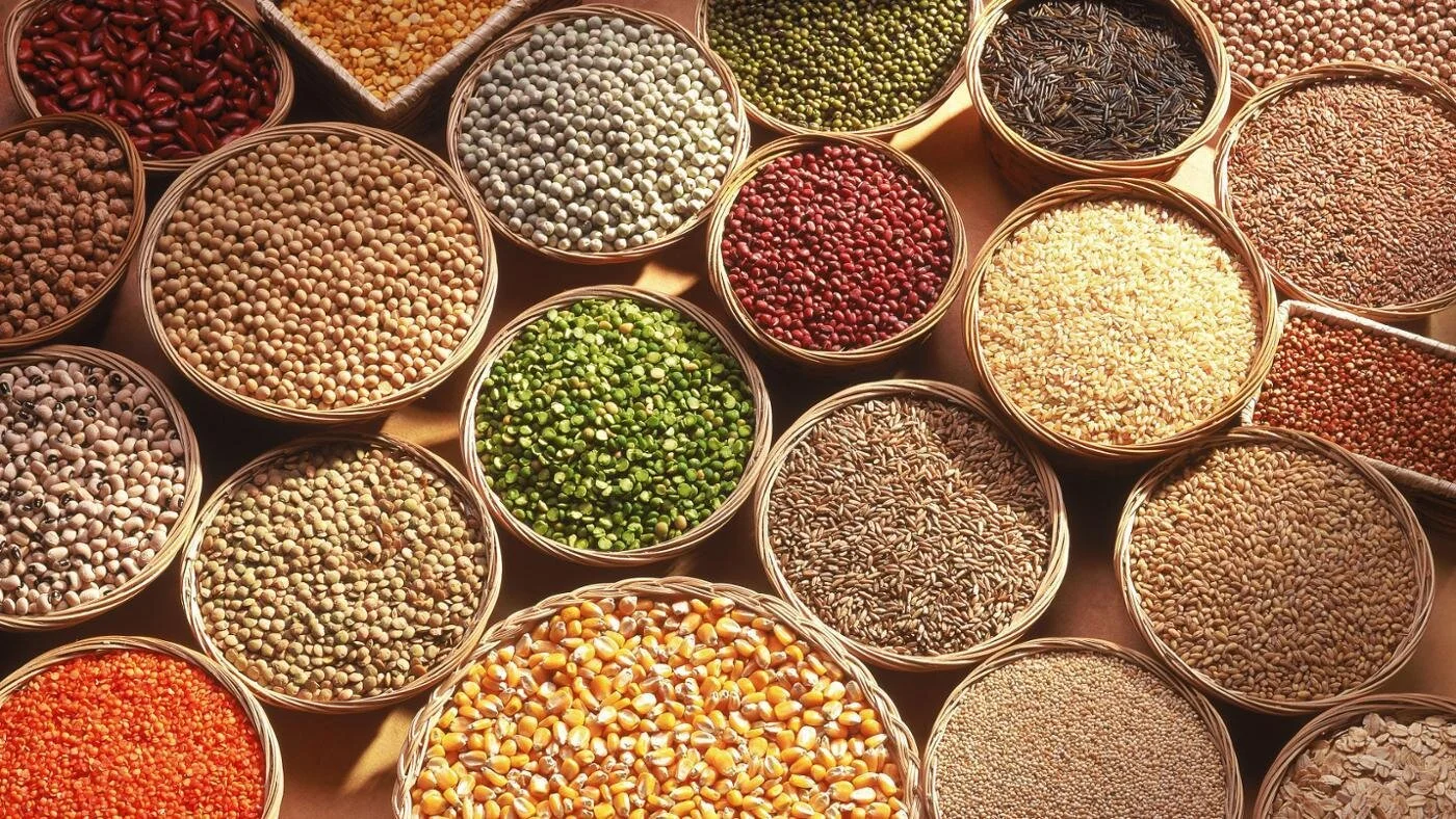 A Glimpse into the Future of Food Security – A Louis Dreyfus Alumni Webinar