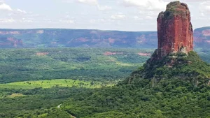 August – October 2019, Santa Cruz de la Sierra – Bolivia. Micaela’s Baggage to & from Oxford