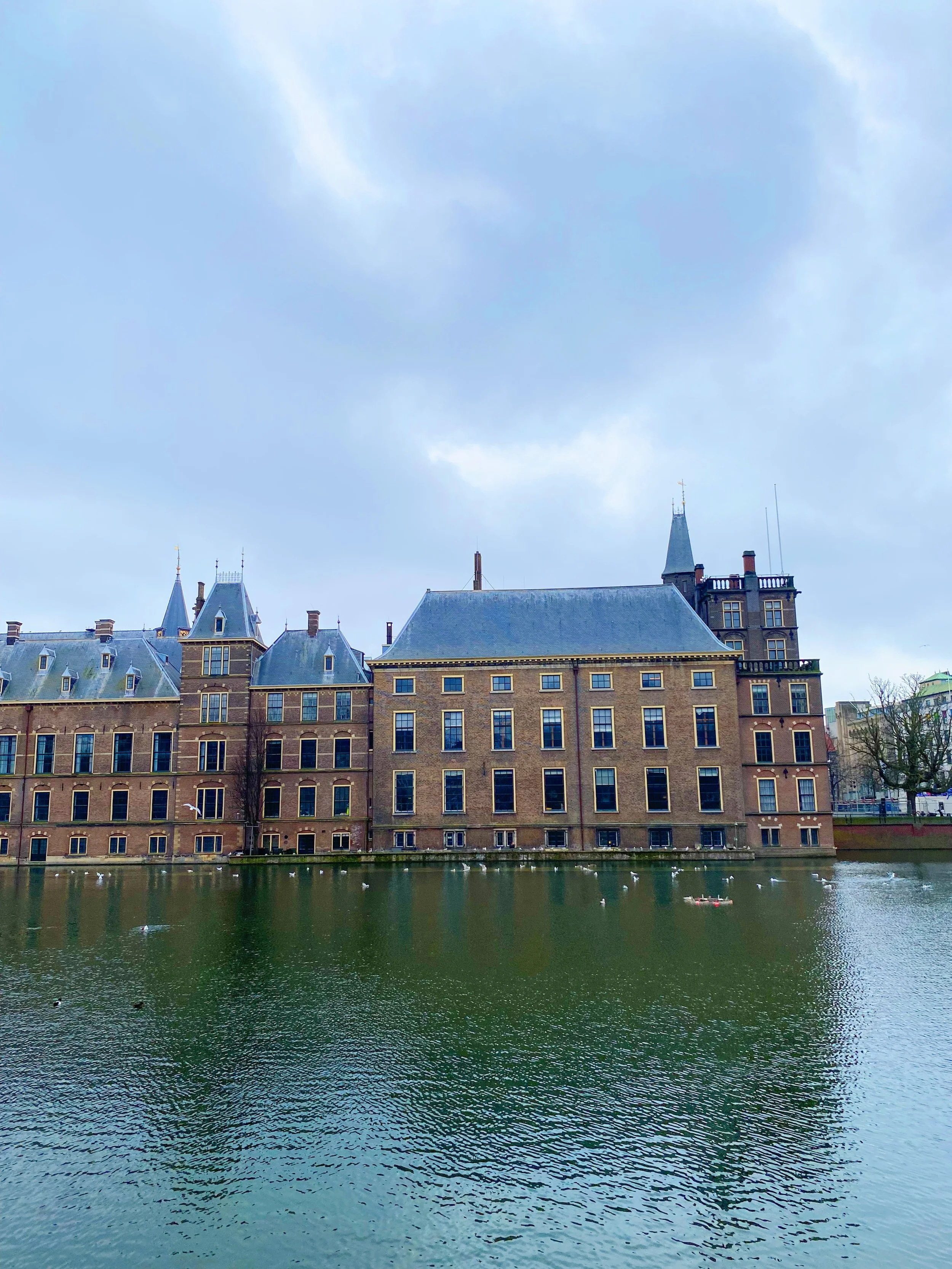  The Benninghoff, The Hague, The Netherlands 